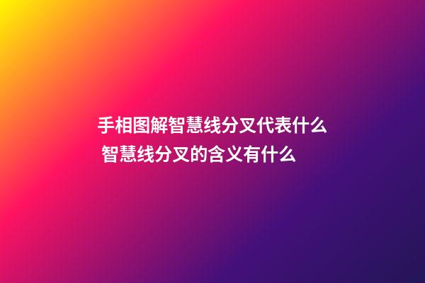 手相图解智慧线分叉代表什么 智慧线分叉的含义有什么